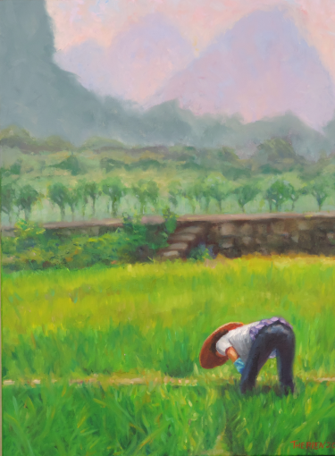 Working in the Rice Fields - China